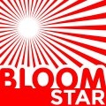 Bloomstar DIY Sets