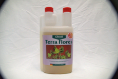 Canna - Terra Flores