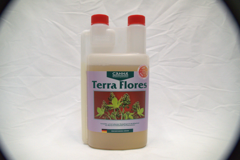 Canna - Terra Flores