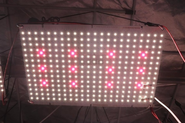 Bloomstar RedBoard XL mit Hyperred 660nm und Farred 730nm LEDs 140-480W Sets