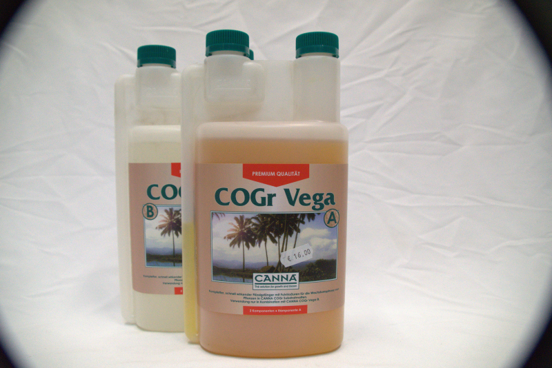 Canna - COGr Vega