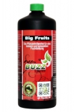 Green Buzz Liquids - Big Fruits