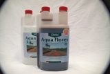 Canna - Aqua Flores