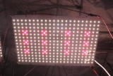 Bloomstar RedBoard XL mit Hyperred 660nm und Farred 730nm LEDs 140-480W Sets