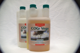 Canna - COGr Vega
