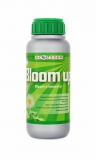 Ecolizer Bloom-up